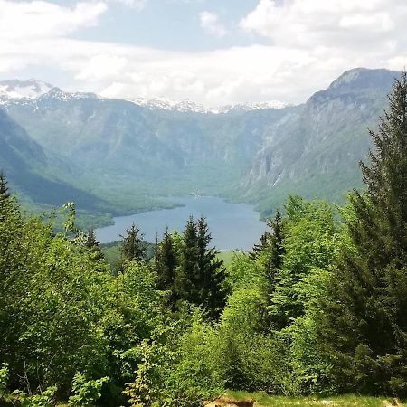 Apartment Ana Bohinj Exteriör bild