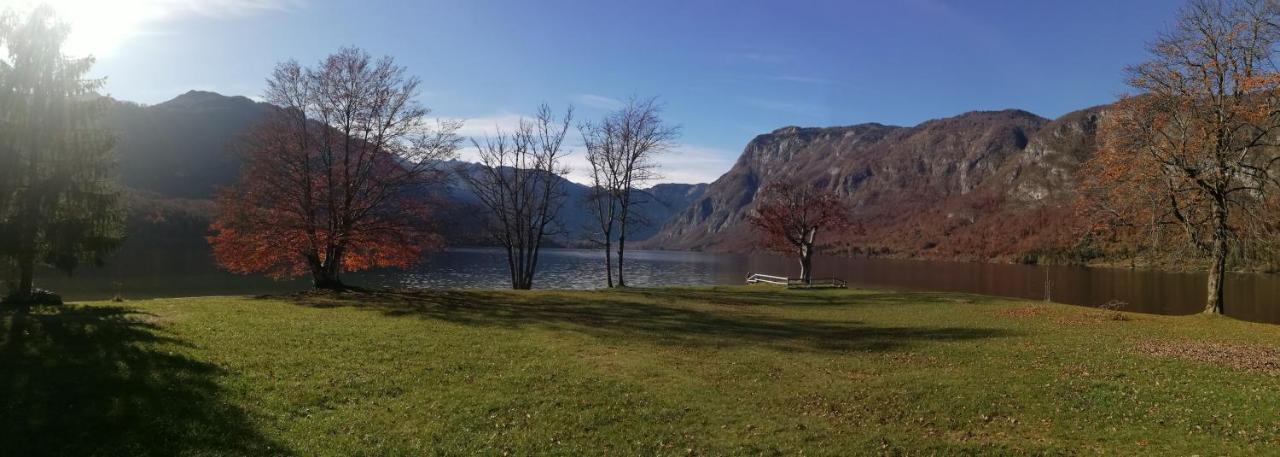 Apartment Ana Bohinj Exteriör bild