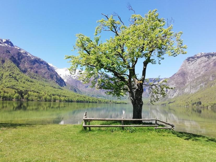 Apartment Ana Bohinj Exteriör bild