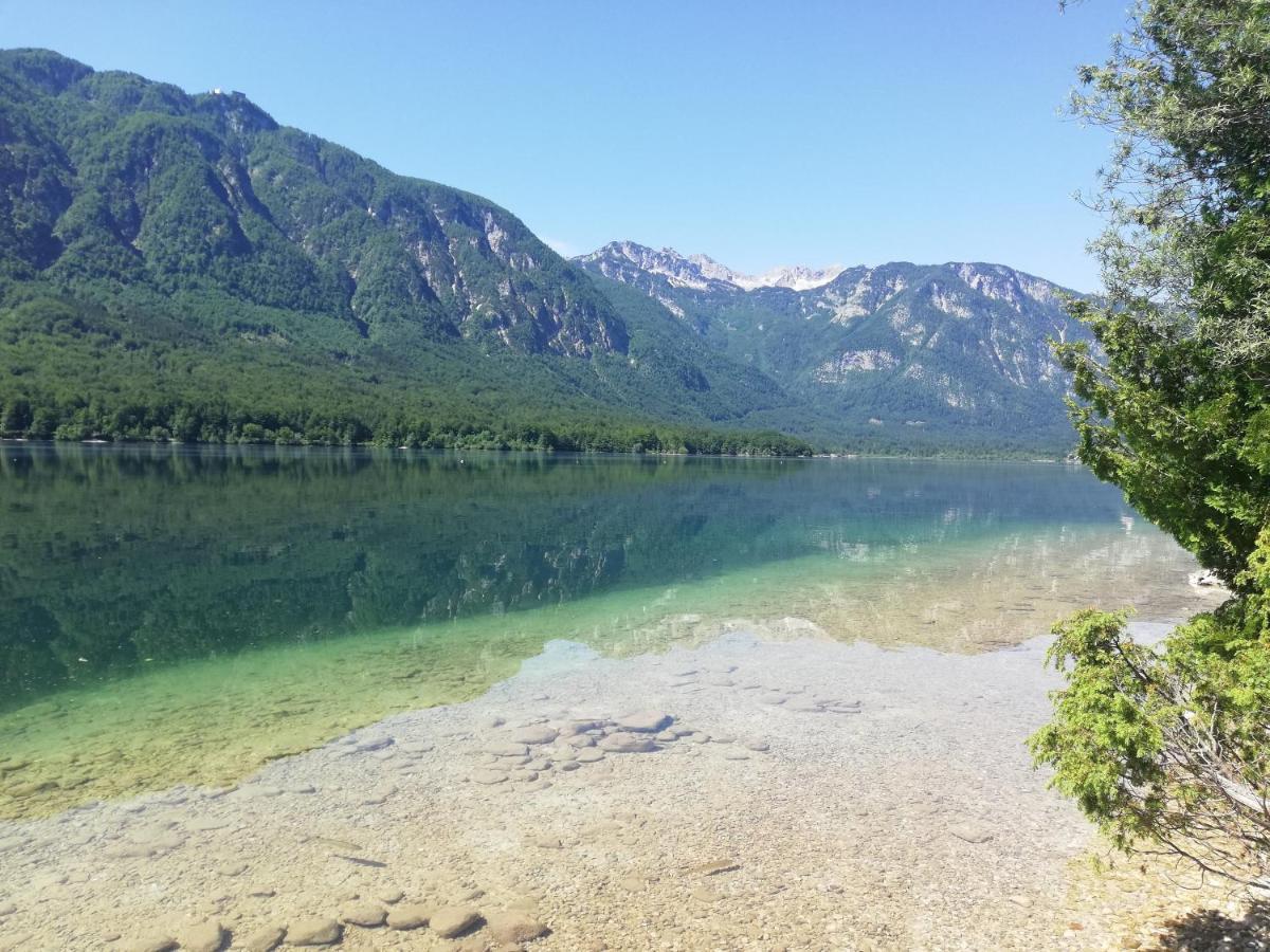 Apartment Ana Bohinj Exteriör bild
