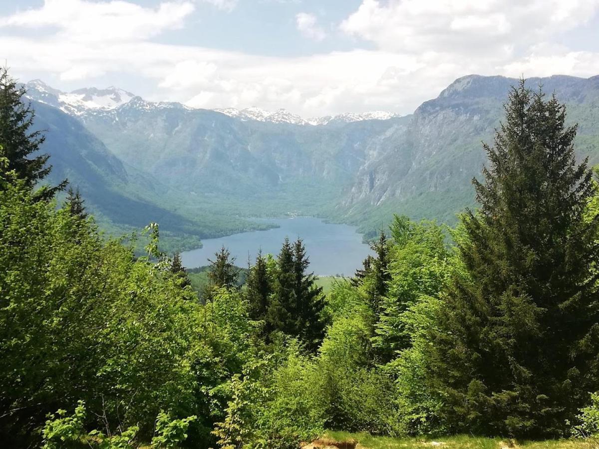 Apartment Ana Bohinj Exteriör bild
