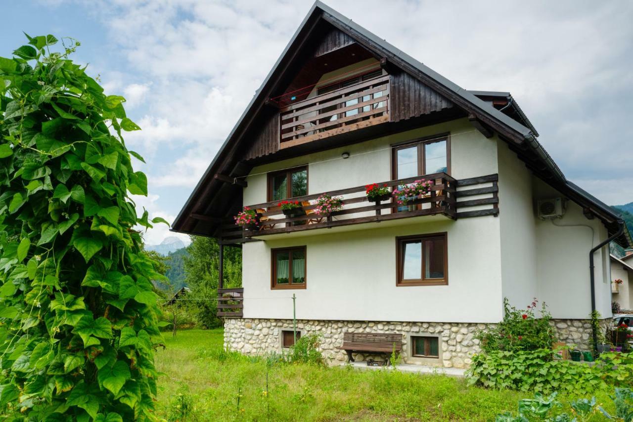 Apartment Ana Bohinj Exteriör bild